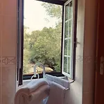 Quinta Do Moinho Turismo De Natureza Casa rural