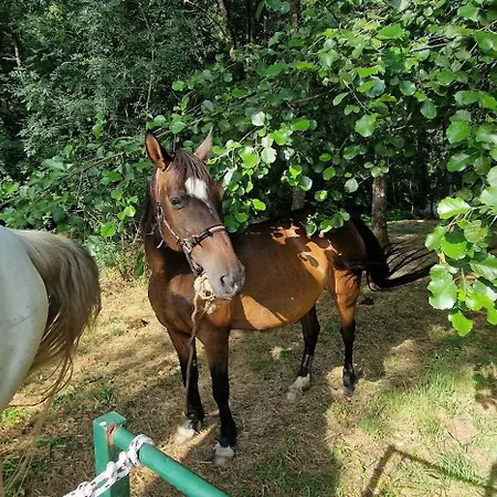 Quinta Do Moinho Turismo De Natureza Casa rural *
