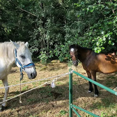 Quinta Do Moinho Turismo De Natureza Aldeia Vicosa